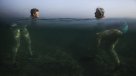 Las mejores imágenes del concurso fotográfico \
