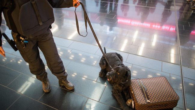 Imagen foto_00000001