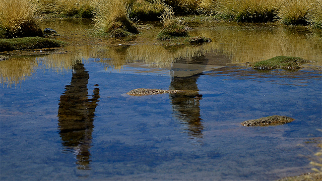 Militares bolivianos se unirán a grupo que prepara demanda por el Silala