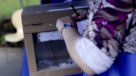 Encuesta de Cooperativa: 45,9 por ciento está seguro de que irá a votar