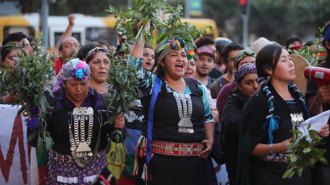 Marchas pro mapuche finalizaron con incidentes en Santiago y Concepción
