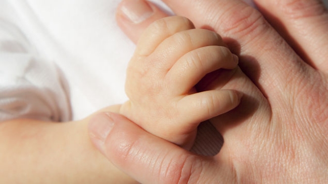 Policía desmanteló en Marruecos una red que 