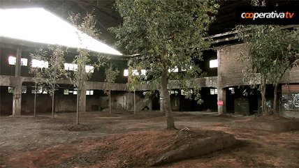   Espacios Revelados: El cambio que impulsará al mítico Barrio Yungay 