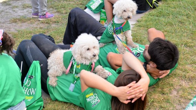 Perrotón espera convocar este domingo a más de tres mil canes