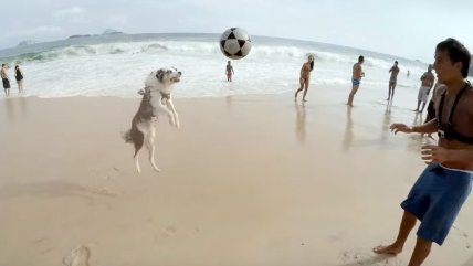   Perro futbolista enfrentó a jugador del Santos en playa de Río de Janeiro 