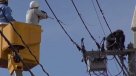 Chimpancé escapó por cables eléctricos desde un zoológico en Japón