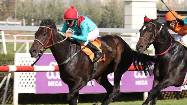 Club Hípico de Santiago suspendió su jornada de carreras de este domingo