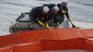 Queule: 1.500 toneladas de sardinas muertas se han retirado desde caleta