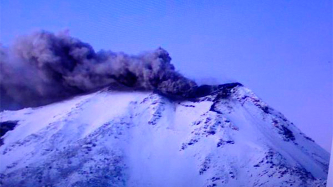 Complejo volcánico Nevados de Chillán emitió nuevo pulso de cenizas
