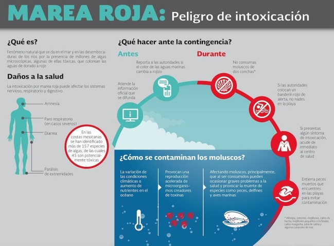 Imagen foto_00000015