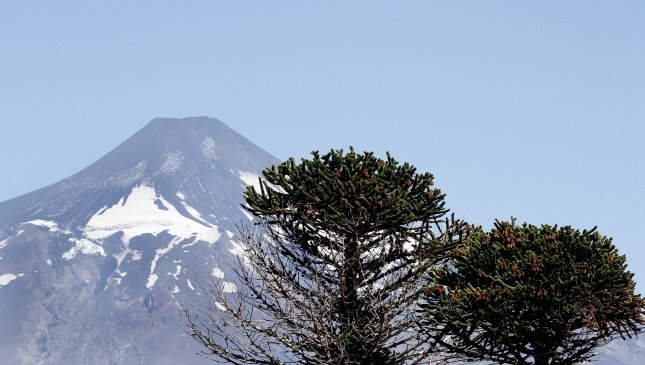 El mundo es más verde ahora que hace 30 años, según un estudio internacional