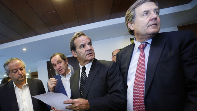 UDI celebró fallo del TC: 