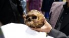 Indígenas indonesios desentierran cadáveres de sus familiares en curioso ritual