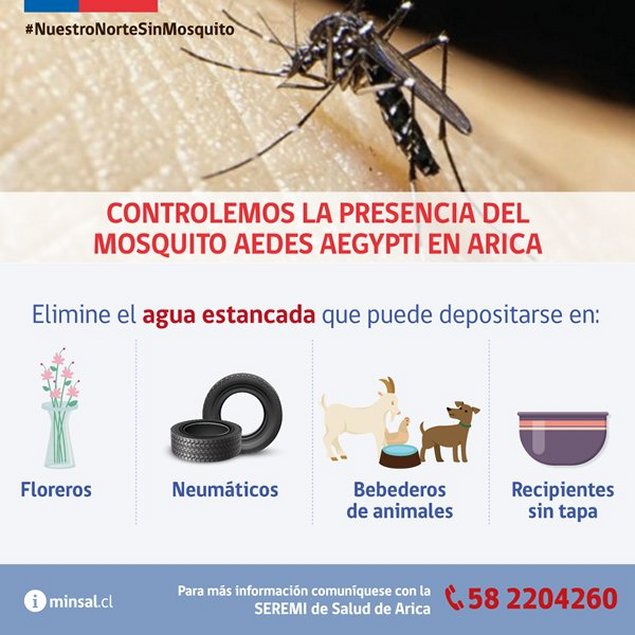 Imagen foto_00000001