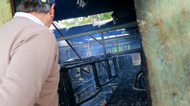 Gremios de La Araucanía piden expulsar a extranjeros 