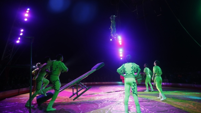 Nuevo Ministerio de Cultura contempla la prohibición de animales en el circo