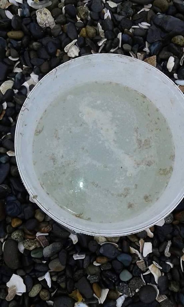 Imagen foto_00000015