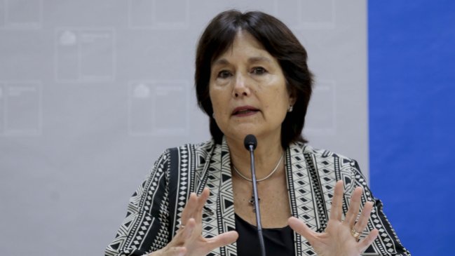 Ministra de Salud viajará a Arica para monitorear erradicación de mosquito del Zika