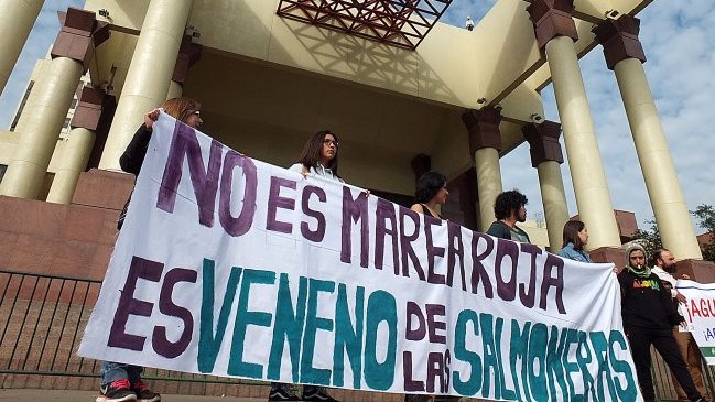 SalmonChile descartó relación con fenómeno de la marea roja en Los Lagos