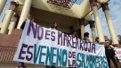 SalmonChile descartó relación con fenómeno de la marea roja en Los Lagos
