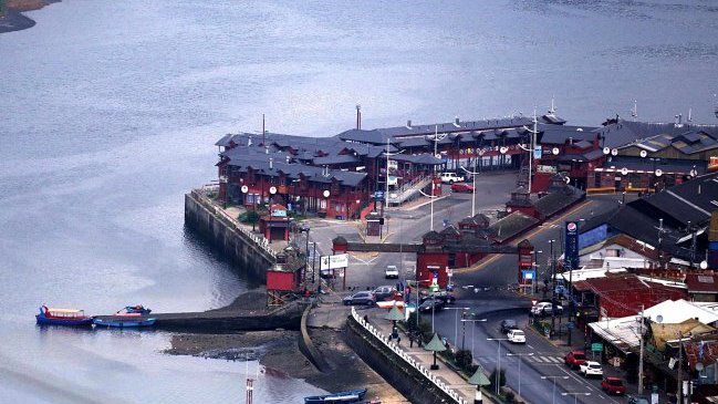 Científicos chilenos trabajan en un modelo predictivo de la marea roja