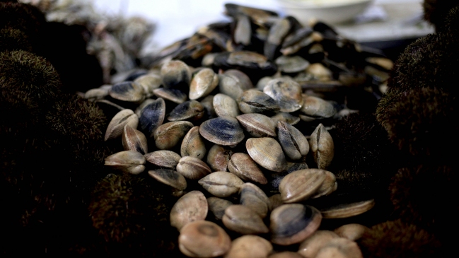 Gobierno amplió zona de marea roja hacia el sur de la Región de Los Ríos