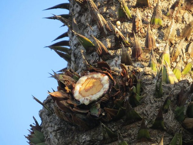 Imagen foto_00000002