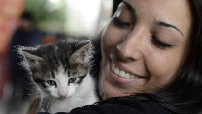 GAM realiza jornada de adopción de mascotas este sábado