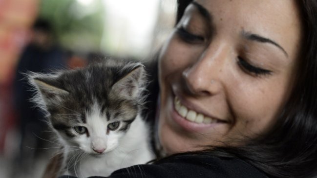 GAM realiza jornada de adopción de mascotas este sábado