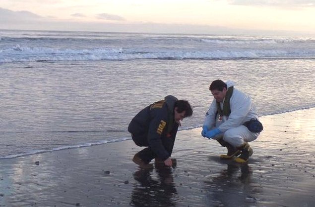 Imagen foto_00000018