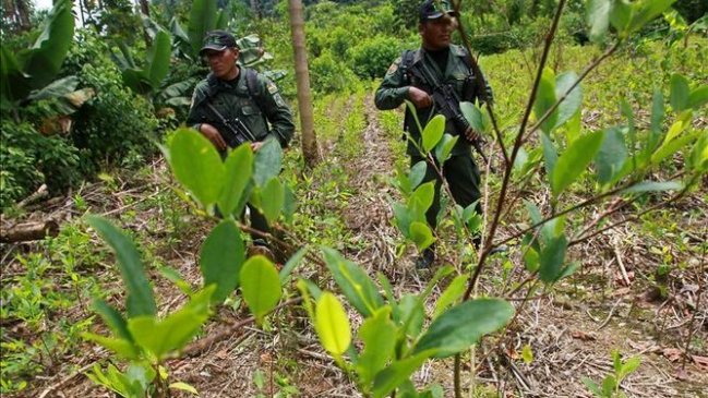 Detuvieron en Bolivia a tres chilenos con 44 cápsulas de cocaína