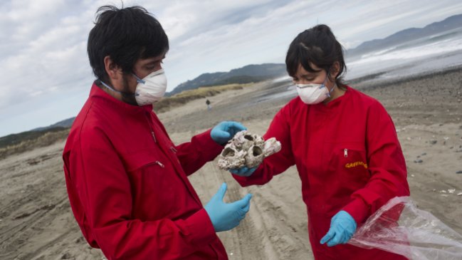 Greenpeace: Solucionar crisis ambiental requiere cambiar el sistema económico