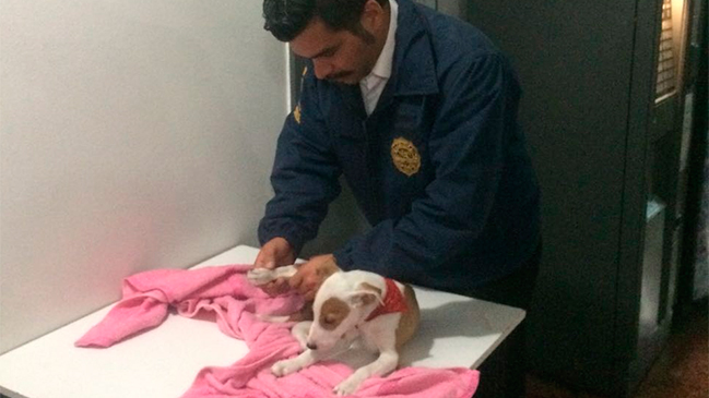 Imagen foto_00000015