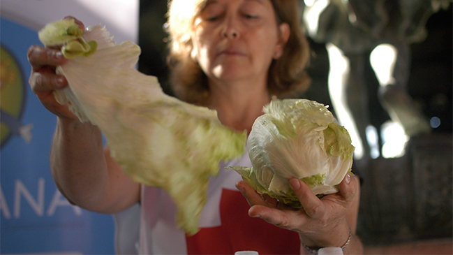 ¿Es la lechuga alta en grasas y calorías?