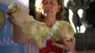 ¿Es la lechuga alta en grasas y calorías?