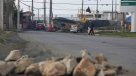 Alcaldesa de Ancud: Estamos ad portas de un acuerdo