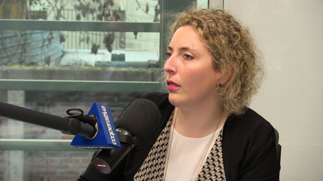 Presidenta del PRO defendió uso de avión en campaña de Marco Enríquez-Ominami