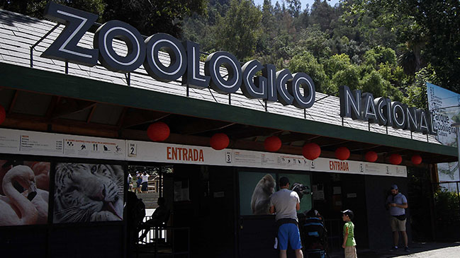 Animalistas pidieron el cierre del Zoológico Metropolitano tras incidente con leones