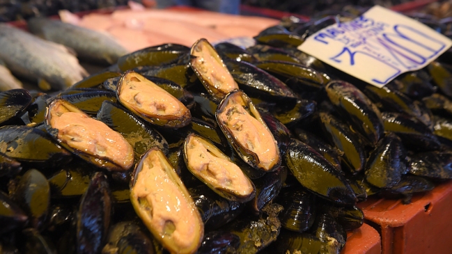 Cierran las costas de la Región de Los Ríos por avance de la marea roja