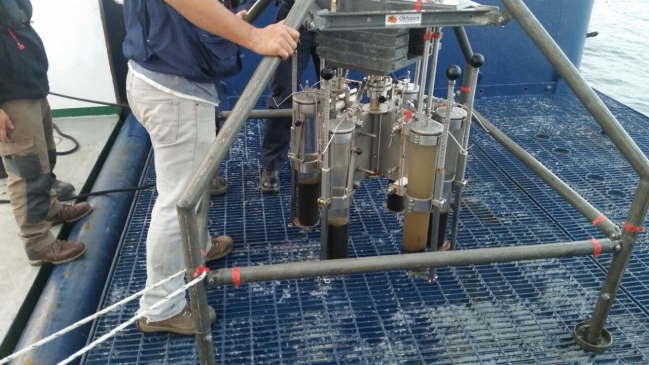 Experto: Marea roja ha ido disminuyendo, pero toxina en mariscos demora más en limpiarse