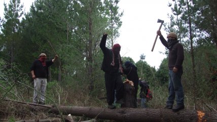 Paulina de Allende-Salazar: 