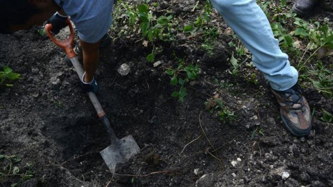 Encontraron seis cadáveres atados de pies y manos en el oeste de México