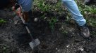 Encontraron seis cadáveres atados de pies y manos en el oeste de México