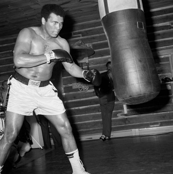 Imagen foto_00000015