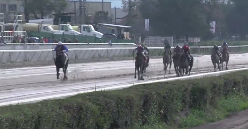 Imagen foto_00000017