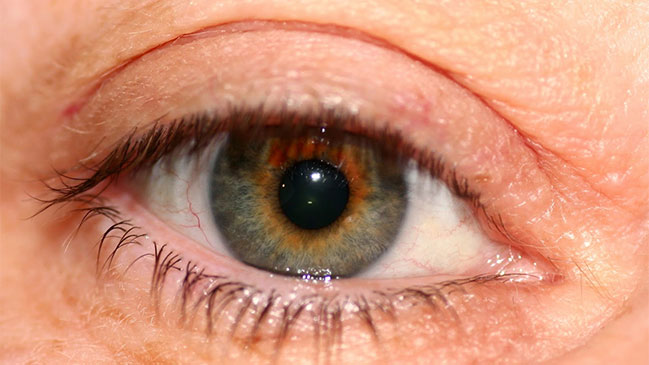 Japón hará por primera vez trasplantes de retina con células 