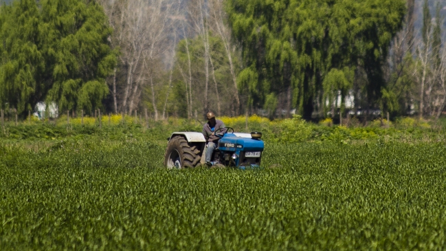 SNA: 57 por ciento de agricultores postergó o no realizó proyectos de inversión