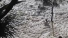 Un hombre se dio un impresionante baño de espuma en el mar