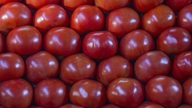 Inflación de mayo llegó a 0,2 por ciento con fuerte alza en precio de los tomates