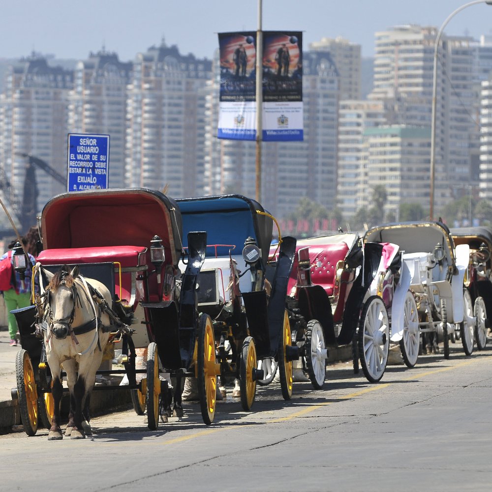 Viña del Mar propone el fin de las victorias para el 30 de agosto